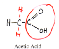 <p>carboxylic acid (example: acetic acid)</p>