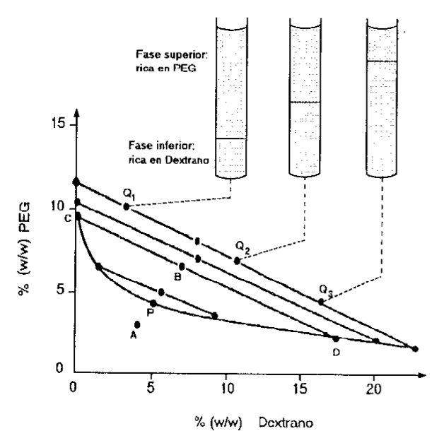 <p>¿Qué representan los puntos P, A y B? </p>