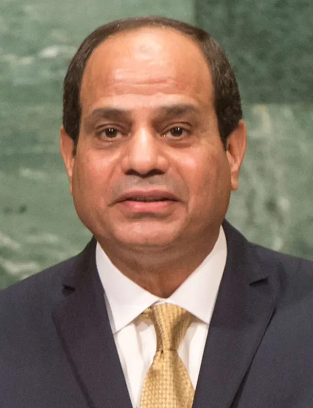 <p>President of Egypt</p>