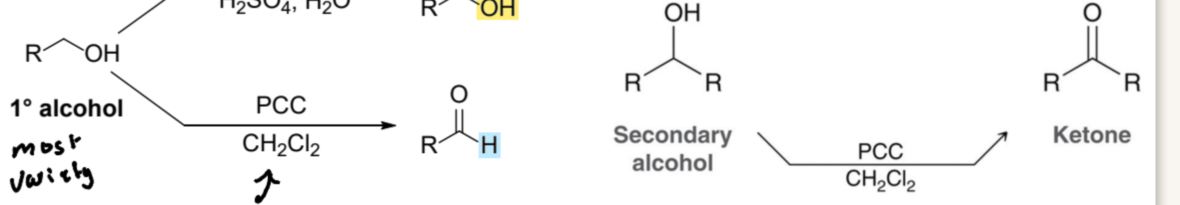 <ul><li><p>Aldehyde; Ketone</p></li></ul><p></p>