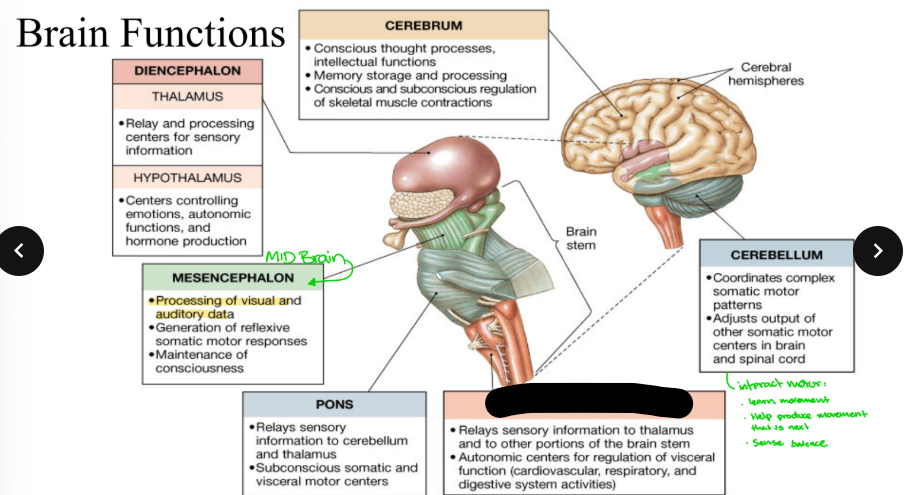 <p>What part is blacked out?</p>