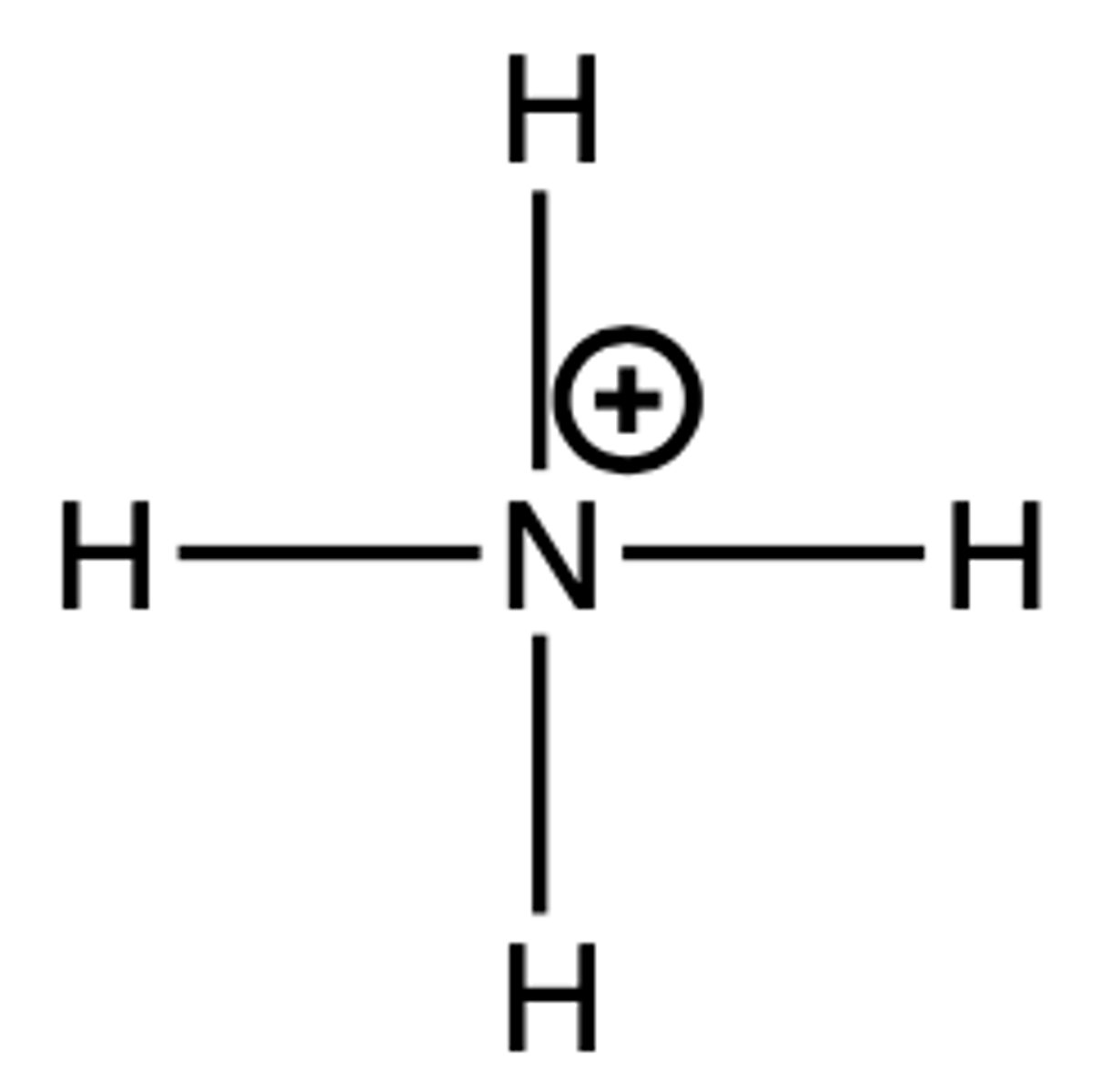 <p>protonated ammonia</p>