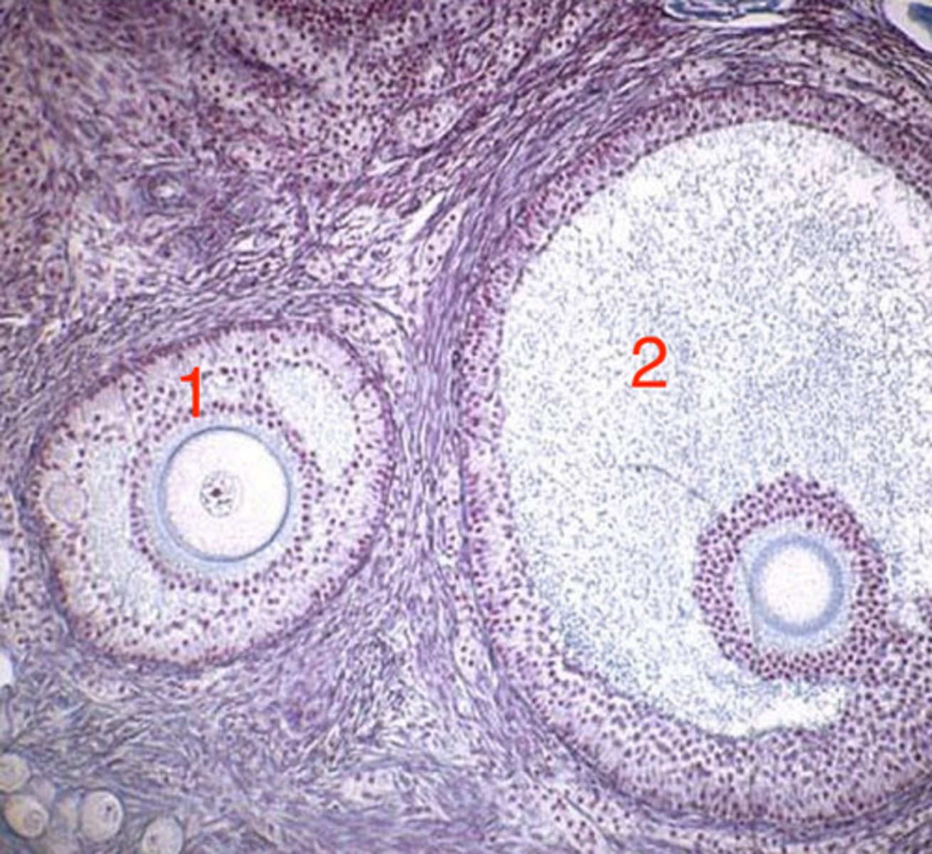 <p>what is 1?</p>