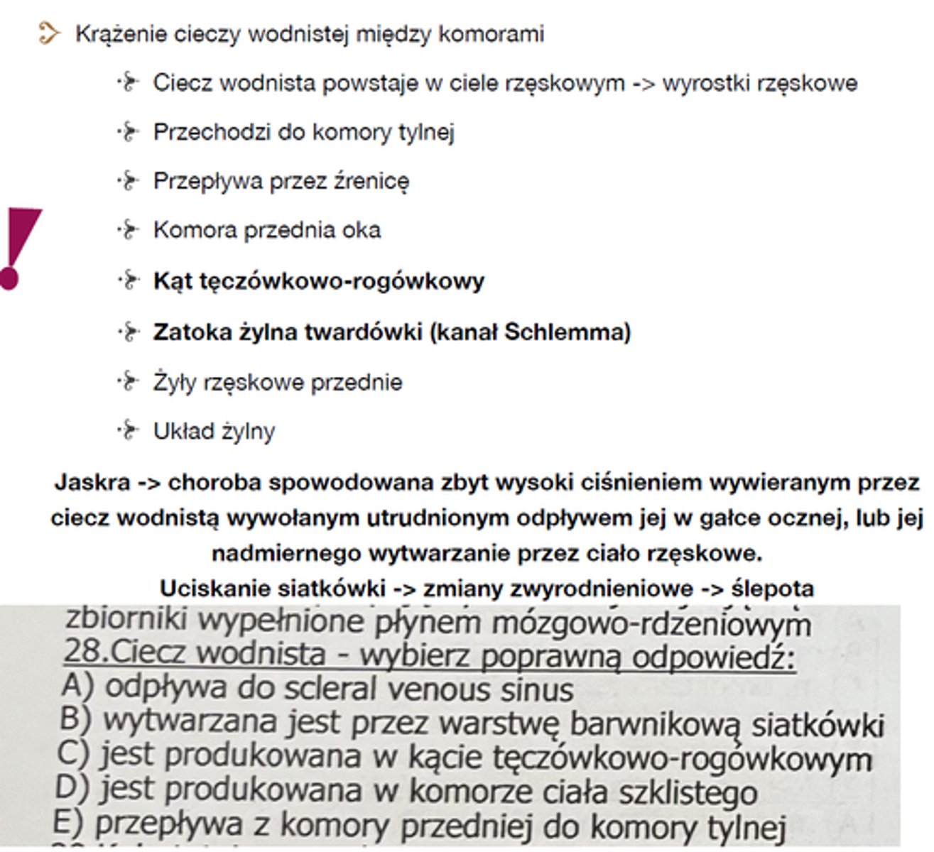 <p>28</p>