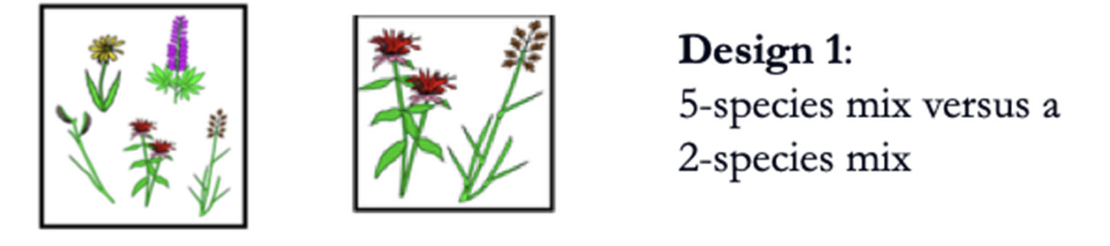 <p>A researcher is planting different species of prairie plants into plots of grassland. Why might the</p><p>study design shown below show misleading results about the relationship between species richness and</p><p>ecosystem services (e.g., biomass stability, C or N fixation, resistance to disturbance)?</p><p></p>