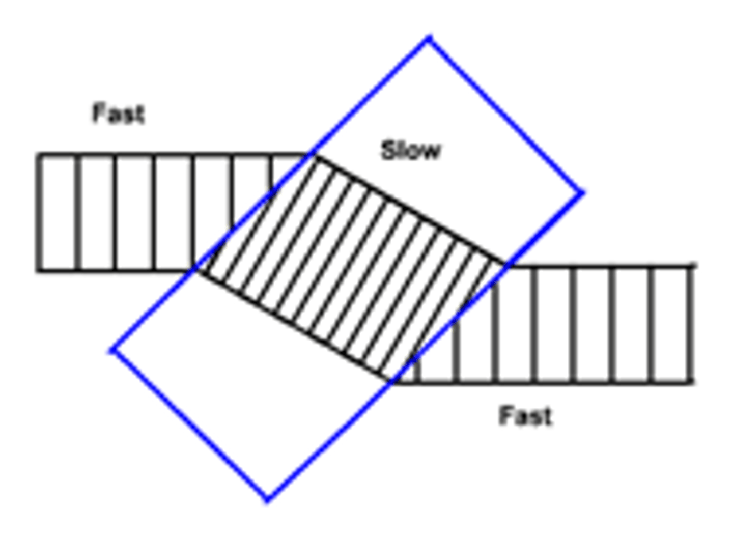 <p>- Lines must be equally spaced out</p>