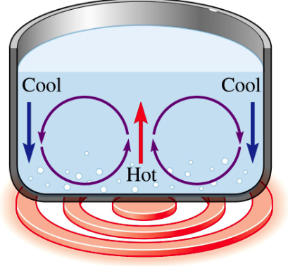 <ul><li><p>Warm air (water) rises, and cool air (water) sinks</p><ul><li><p>Why? Because warm air (water) is less dense and “floats” on cooler air (water)</p></li></ul></li><li><p>The rising of warm air (water) creates circulating convection currents</p></li><li><p>Convection can occur in any fluid</p></li></ul><p></p>