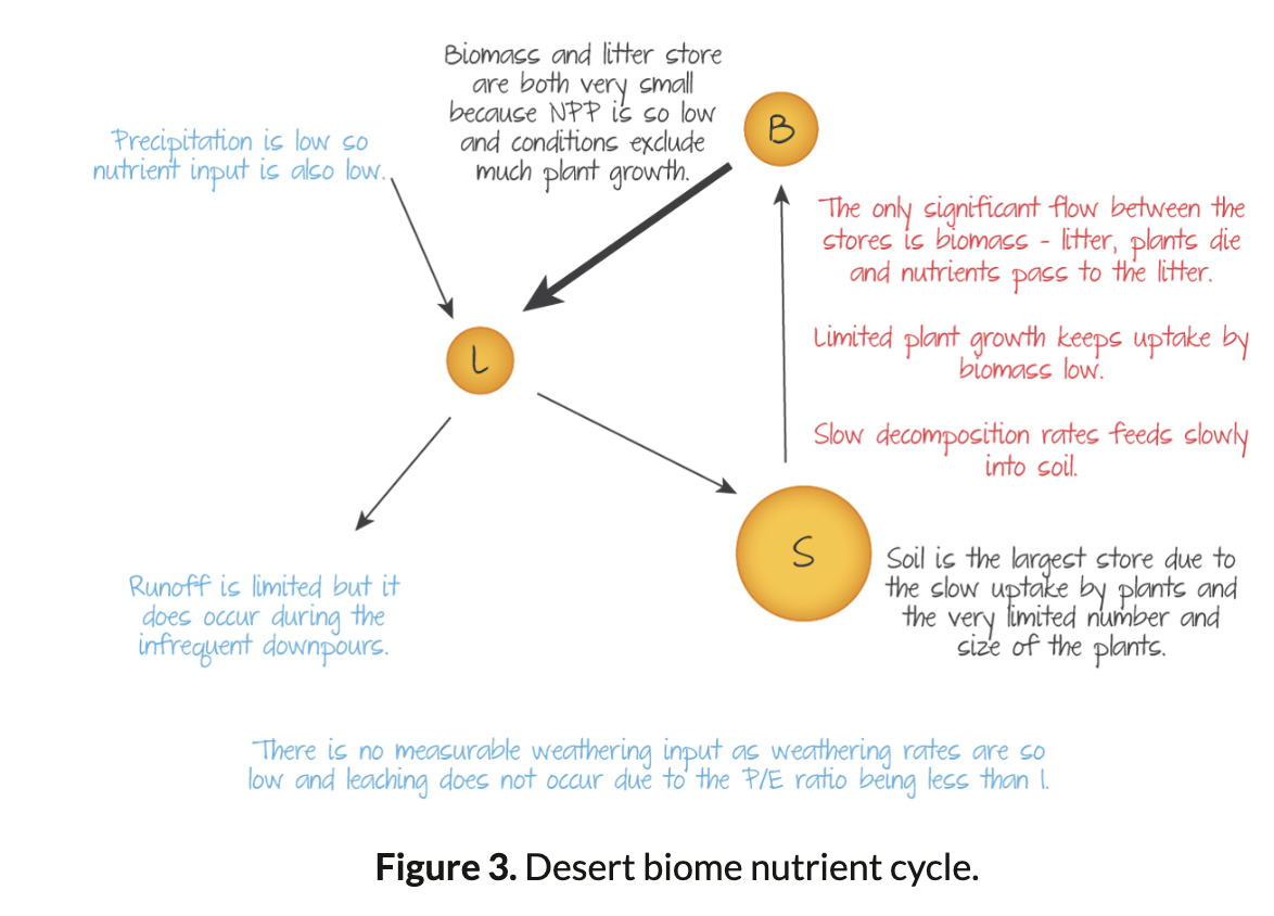 <p>Soil is the largest store, then Biomass, then litter.</p>