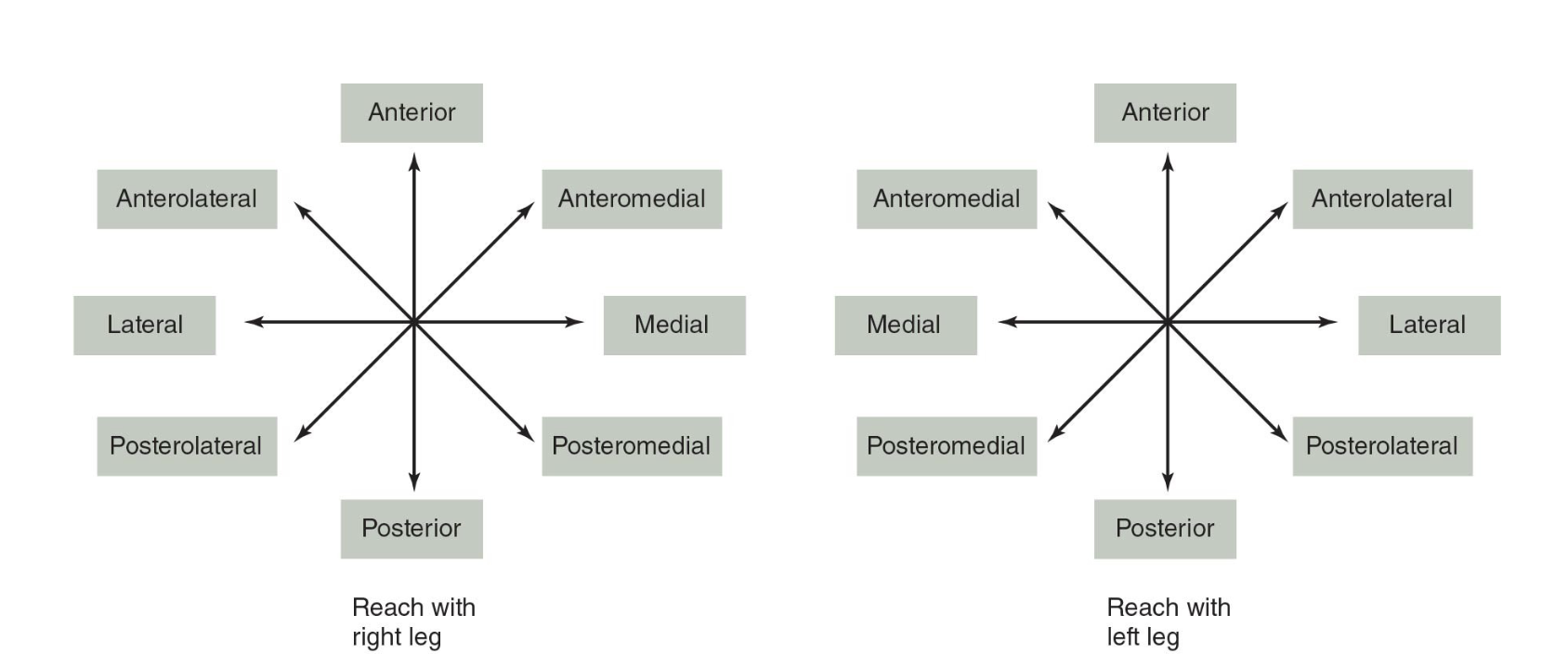 <p>_____ balance test (SEBT): athlete stands in center of a grid with 8 lines extending out at 45˚ increments; athlete maintains single leg stance facing in one direction while reaching with contralateral leg as far as possible for each taped line, touching the farthest point possible, and then returning to bilateral position; within single trial, athlete remains facing in beginning direction and stand leg remains the same with other leg doing all the reaching, the distance from the center of the star to the touch position is measured; starting direction and support leg are chosen randomly; 3 trials are performed for each condition and averaged; 15 seconds of rest is allowed between each of the reaches; athletes should be given a minimum of _____ practice trials before being tested; it’s been suggested that testing the anteromedial, medial, and posteromedial positions is sufficient for most situations</p>