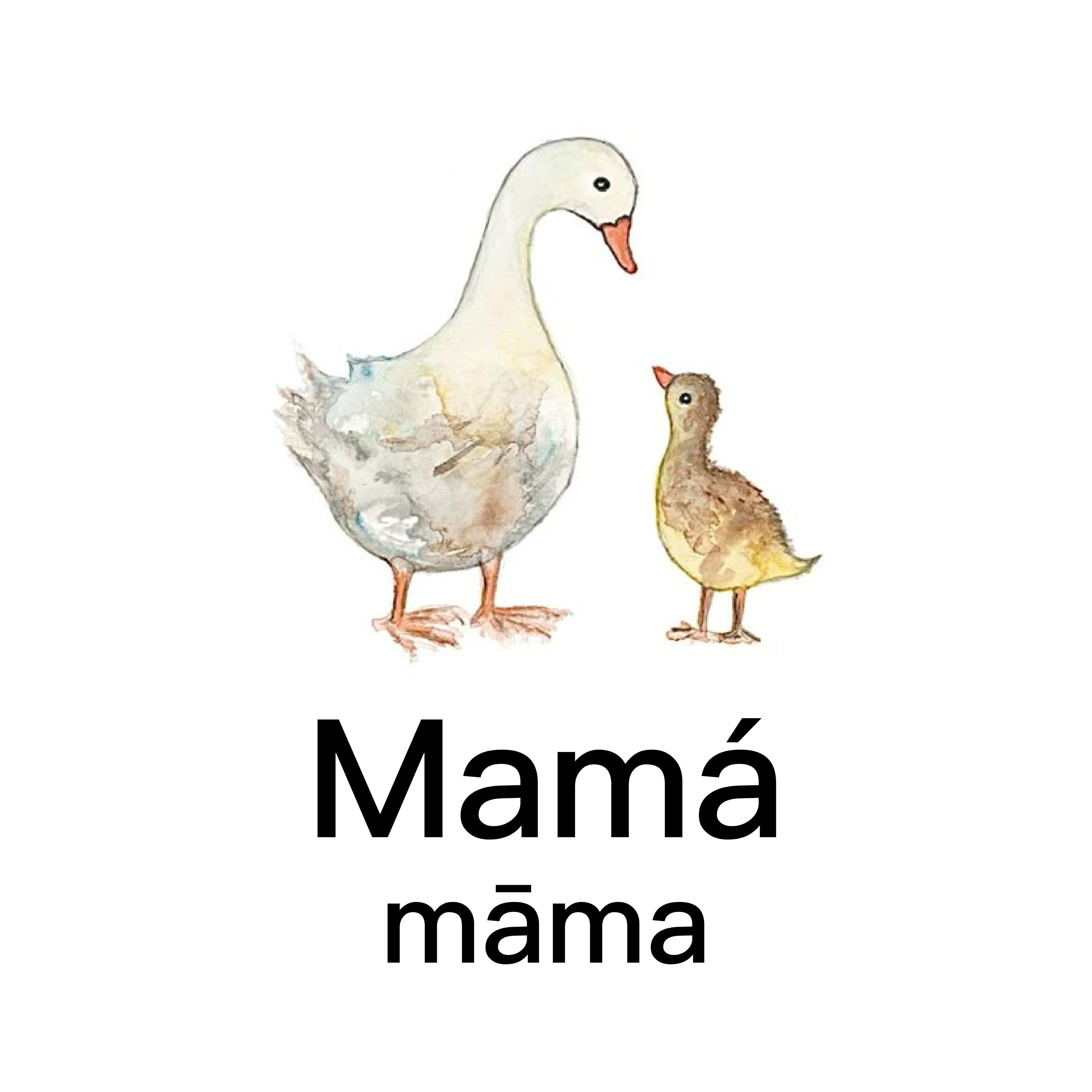 <p><span style="font-family: Calibri, sans-serif">māma</span></p><p></p>