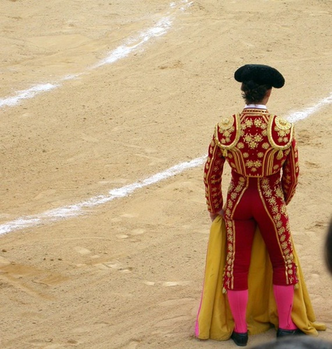 <p>bullfighter</p>