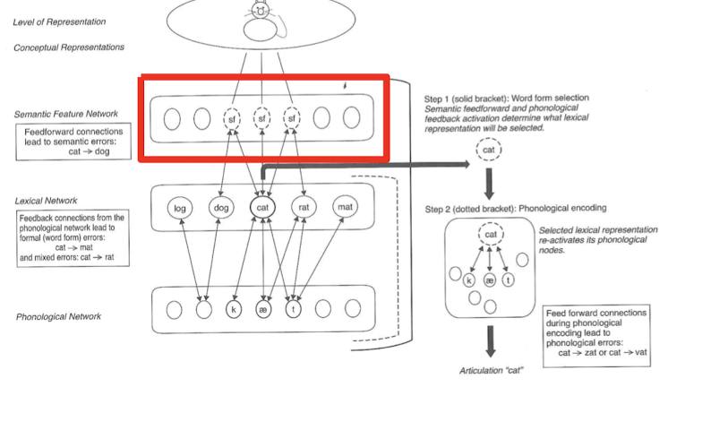 <p>Semantic anomia (semantic features)</p><p>step 1</p>