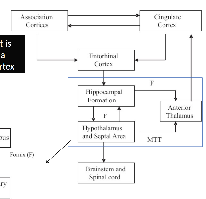 <p>Papez Circuit: _______ communicates with mamillary body through _____, then they communicate with ______ ______ of ______ through _______ tract, then it communicates with cingulate Gyrus through ____ ______, then goes to ________ gyrus through the cingulum, which then goes to entorhinal cortex which then goes back to hippocampus through _____ pathway </p>