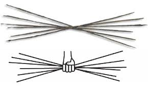 <p>from six rod shaped obeloi </p>