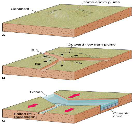 <ul><li><p>Triple junctions</p></li><li><p>Passing over mantle plumes gradually weakens continental crust</p></li><li><p>Eventually, crust becomes so weak, a rift is created</p></li><li><p>With the expansion of the rift, water fills in an oceanic crust is created</p></li></ul><p></p>