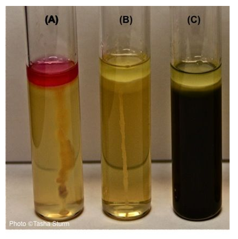 <p><span>the SIM medium turns black&nbsp;</span></p>