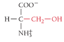 <p>What is the name of the amino acid?</p>