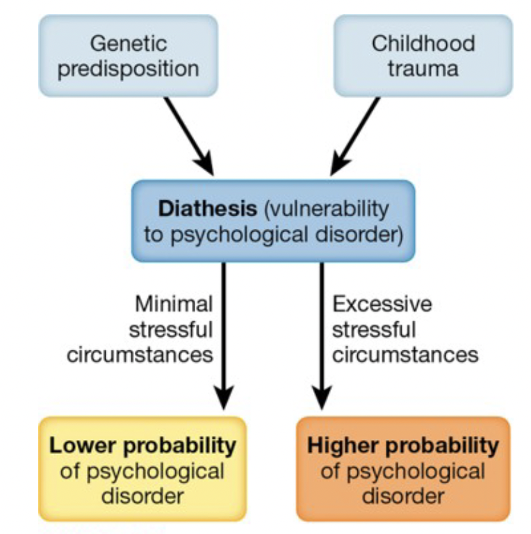 <p>The BLANK</p><p>• Proposes that a disorder may develop when an underlying vulnerability is coupled with a precipitating event</p><p>o According to this model, the onset of mental disorders occurs due to both vulnerability for the disorder and the presence of stressful events</p>