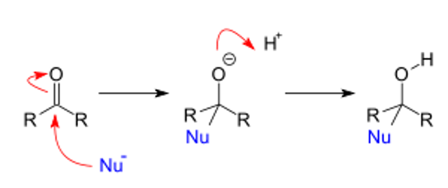 <p>a reaction in which an electrophilic π bond reacts with a nucleophile, breaking the π bond and forming 2 new σ bonds.</p>