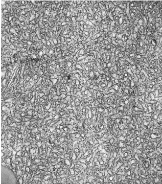 <p>THIS PHOTO REPRESENTS</p>