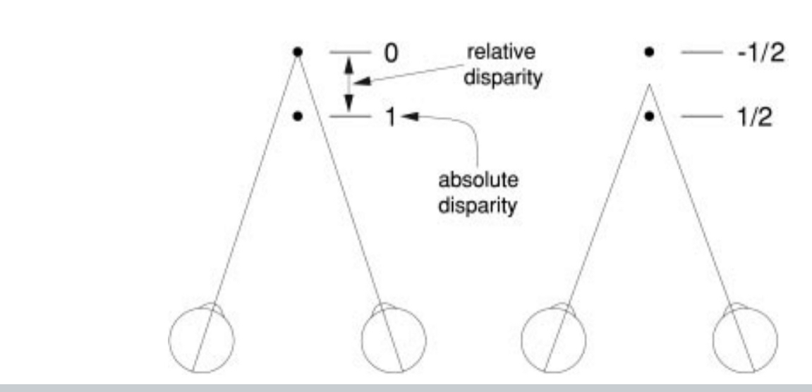 <p><span>A difference in the actual retinal coordinates in the left &amp; right eyes of the image of a feature in the visual scene</span></p>
