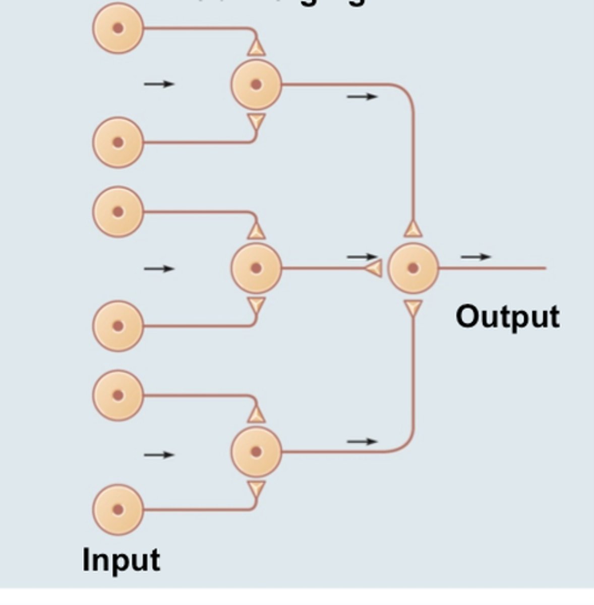 <p>many inputs, one output</p>