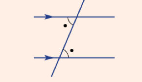<p>Equal </p>