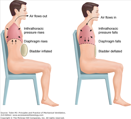 <ul><li><p>forces diaphragm upward to assist w/ exhalation </p></li></ul><p></p>