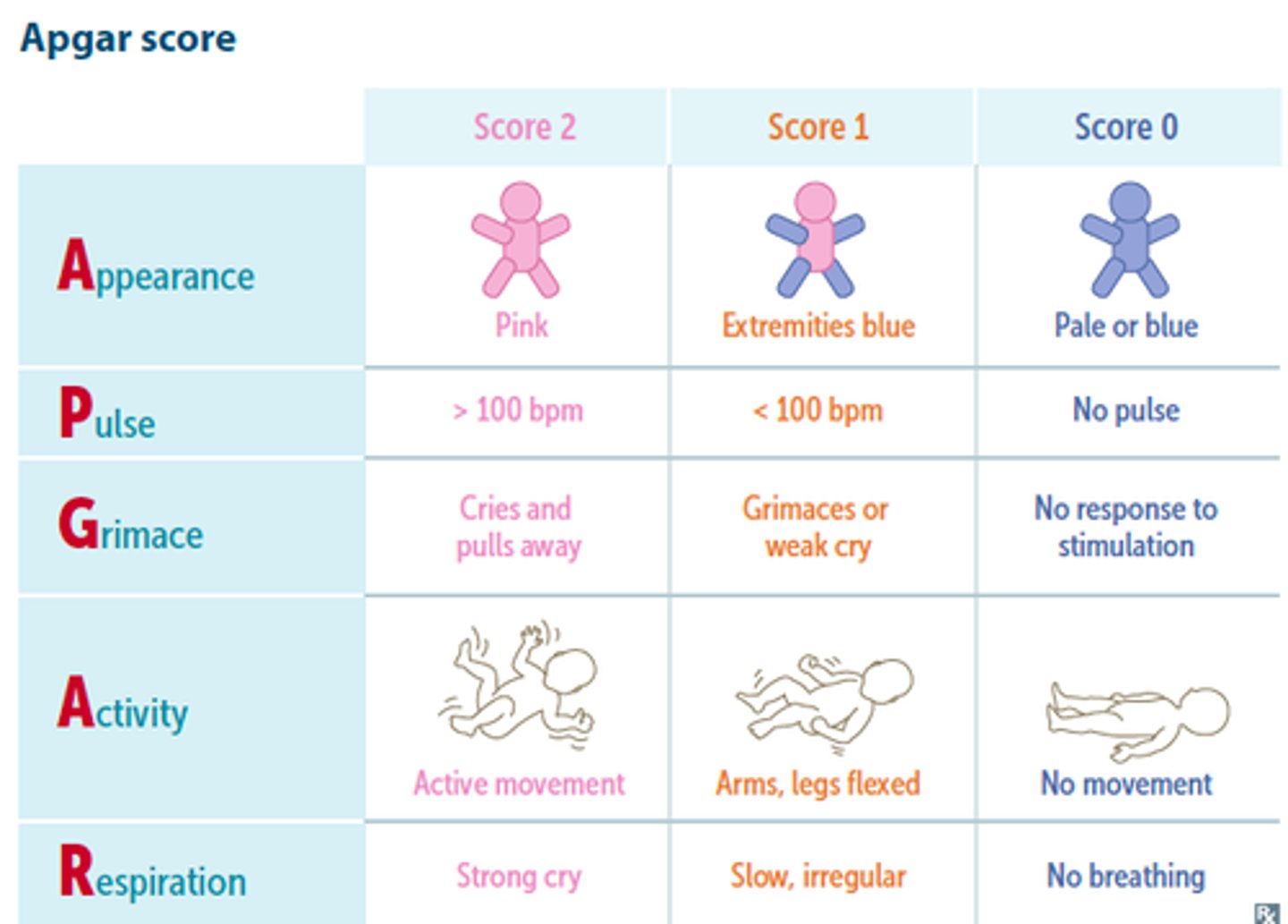 <p>Appearance</p><p>Pulse</p><p>Grimace</p><p>Activity</p><p>Respiration</p><p>&gt; 5 @ 1 min &amp; 8-10 @ 5 min = normal</p>