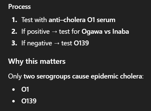 <ul><li><p>Oxidase + (Rare case of Oxidase-positive sugar fermenters, oxidase negative would otherwise suggest E. Coli/ shigella/ Salmonella)</p></li><li><p><strong><u>Suc +</u></strong></p></li><li><p><strong><u>Lac +</u></strong> (late fermenter)</p></li><li><p><strong><u>String test</u></strong> + </p><ul><li><p><em>Uses 0.5% Deoxycholate (a bile salt), which can lyse Vibrio cholerae’s cell wall, which will cause DNA to leak out and give a stringy texture</em></p></li></ul></li><li><p><strong><u>Cholera Red Reaction +</u></strong></p><ul><li><p><em>Peptone water (contains Trp + NO2-) + H<sub>2</sub>SO<sub>4</sub>→ V. cholerae should metabolize Trp to indole: Indole + NO2- + H<sub>2</sub>SO<sub>4 </sub> → Red coloration </em></p></li></ul></li><li><p><strong><u>Side agglutination</u></strong> with cholera O subgroup then test for serotypes, cuz only O cause disease (Check image)</p></li><li><p><strong><u>Immobilization test</u></strong> using antiserum same concept as agglutination </p></li><li><p><strong><u>Phage typing</u></strong></p></li></ul><p></p>