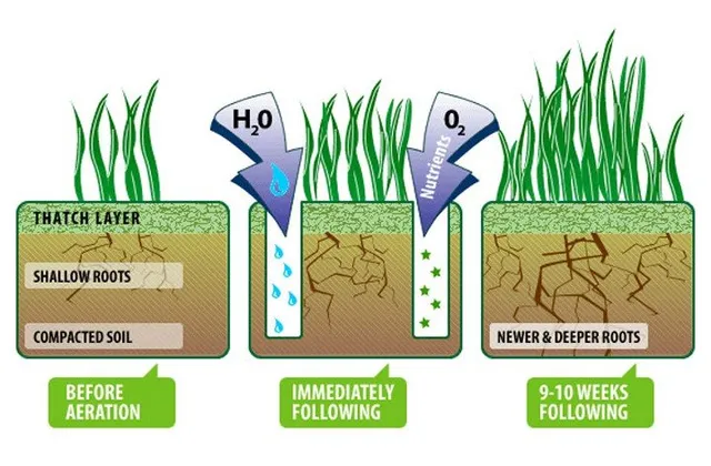 * 1-6” apart
* 1/4 -- 3/4” Diam
* deeper = more effective