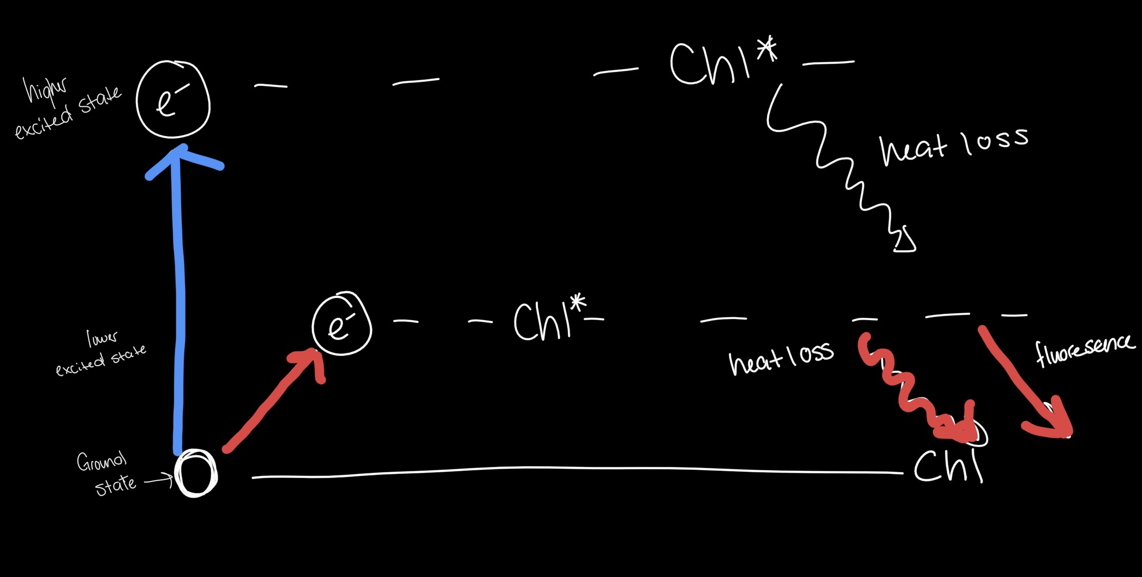 <p>Which photon light has more energy </p>