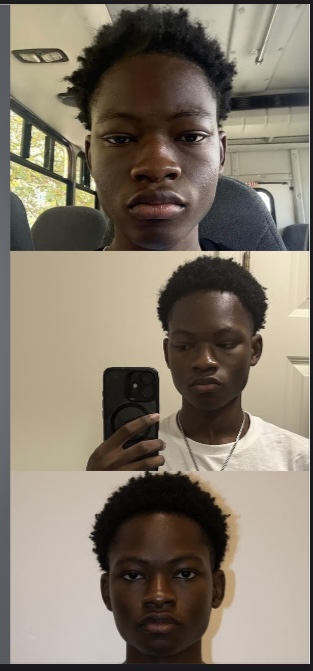 term image