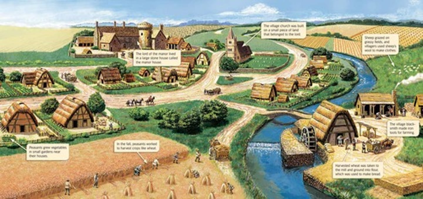 <p>The economic system of the Middle Ages. Manors were self-sufficient; Land = Wealth; Trade was minimal</p>
