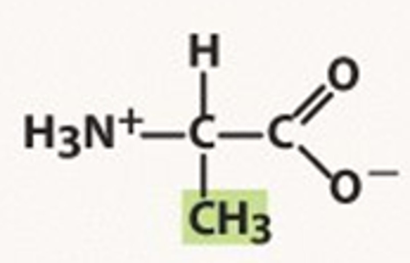 <p>Ala, A, nonpolar</p>