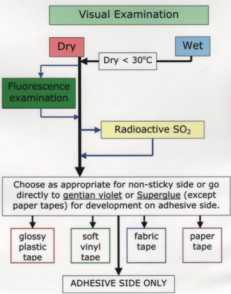 <p>Adhesive coated surfaces</p>