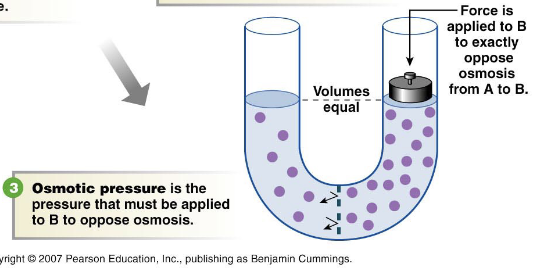 osmotic pressure diagram