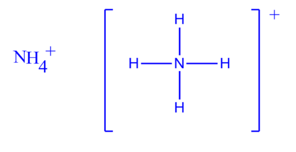 <p>Ammonium</p>