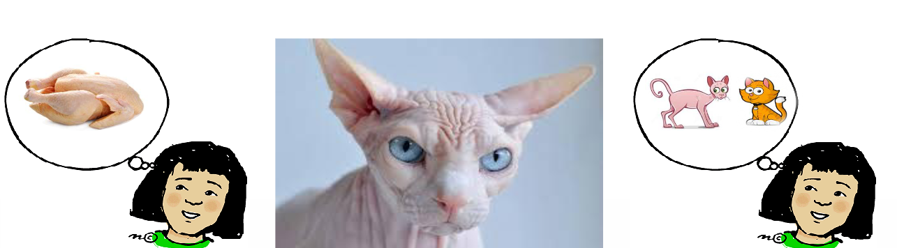 <p>When the existing schema does not work, the schema needs to be changed to deal with a new situation. </p><ul><li><p>ex. we learn that a cat does not necessarily have to have fur for it to be a cat. </p></li></ul><p></p>
