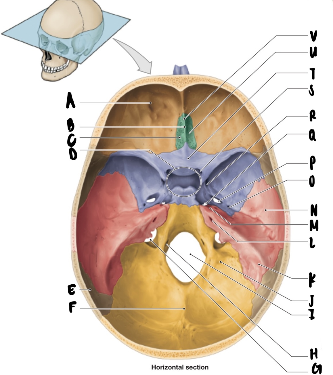 <p>S</p>