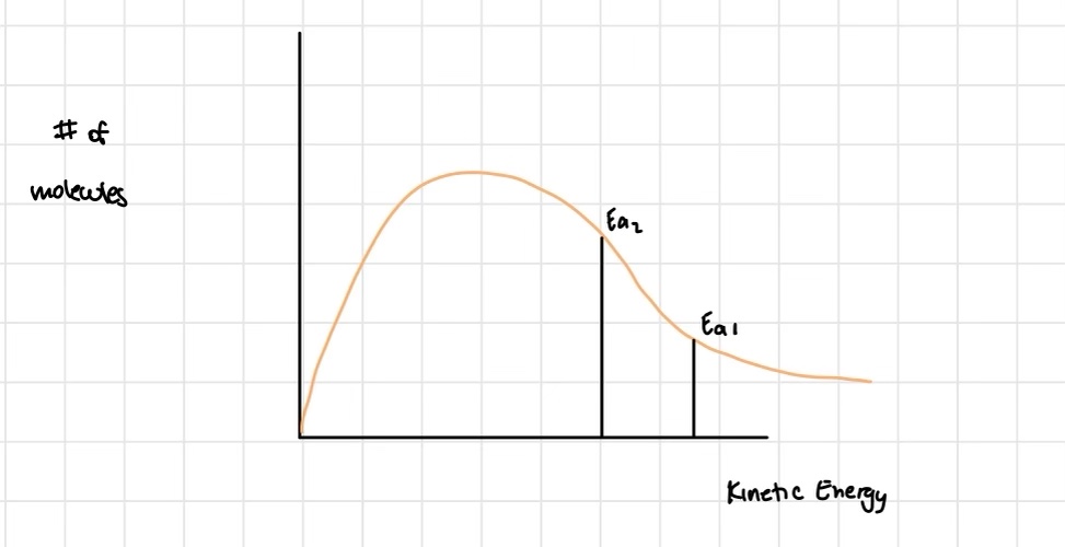 <ul><li><p>if molecules have weaker bonds, they have a smaller activation energy (means more molecules have reacted at a lower kinetic energy)</p></li><li><p>the less complicated the reactant, the better collision geometry (orientation of the molecule is less precise)</p></li></ul>