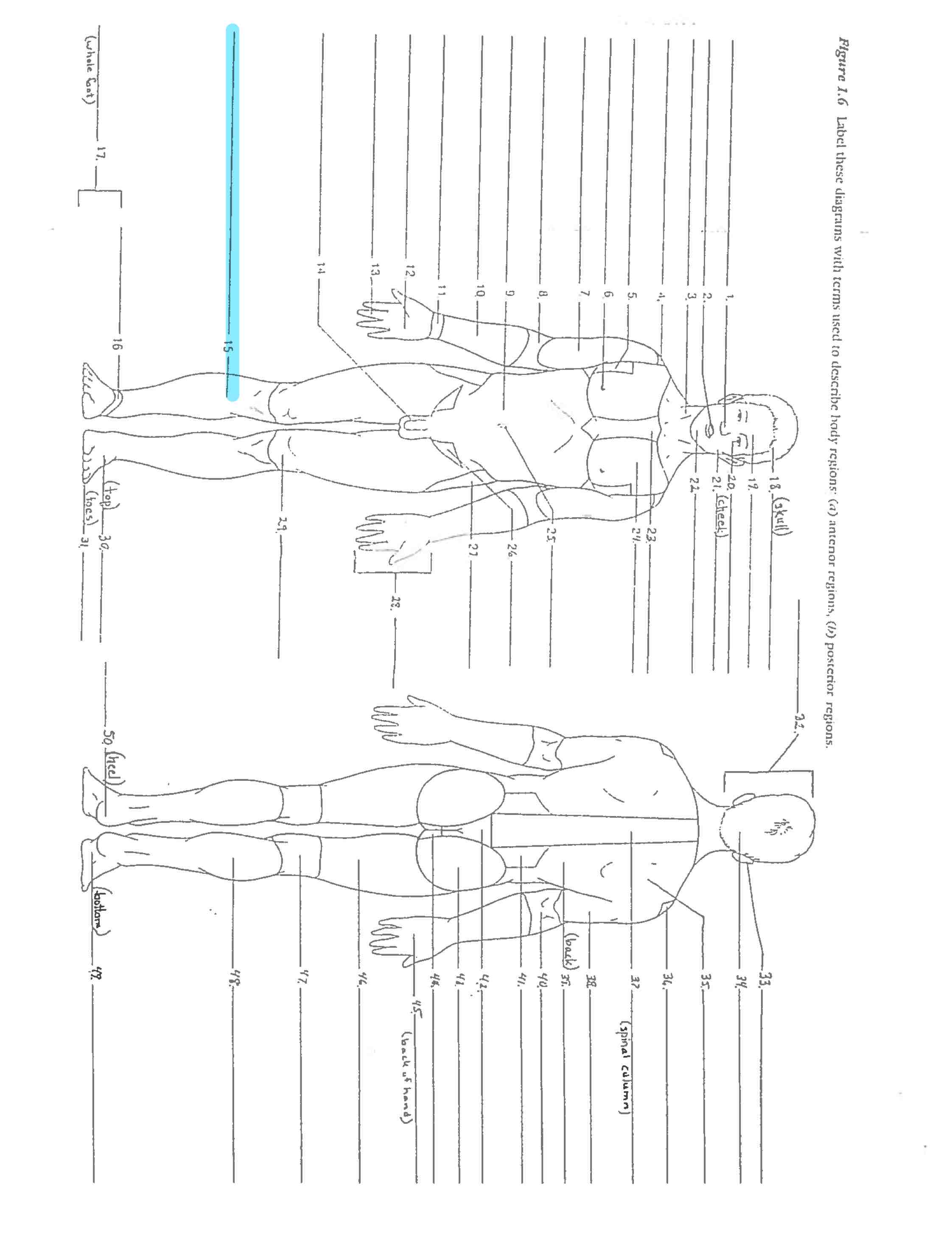 <p>Line 15 </p>