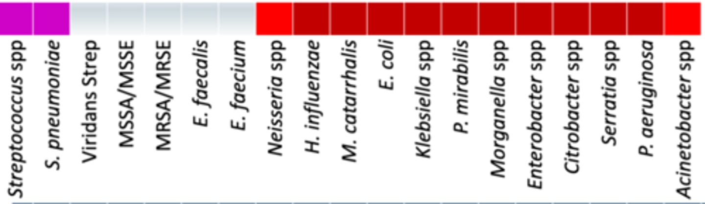 <p>• Anaerobes: +/- (oral anaerobes)</p><p>• Miscellaneous: </p><p>- Ceftazidime has poor activity against B. fragilis</p><p>- Activity against KPC, ESBLs and AmpC </p><p>-Definitive Therapy: KPC producing enterbacterales and DTR/carbapenem resistant Pseudomonas </p><p>• Coverage - Works from H. influenzae to P. aeruginosa; same coverage as Caftazidime but now is stable against enterobactales</p>