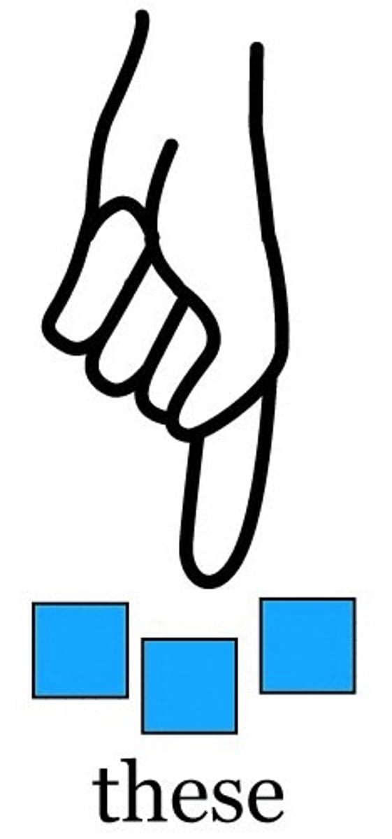<p>những cái này</p>