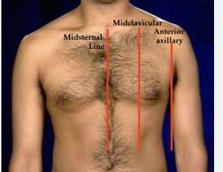 <p>mid clavicular line, midaxillary line</p>