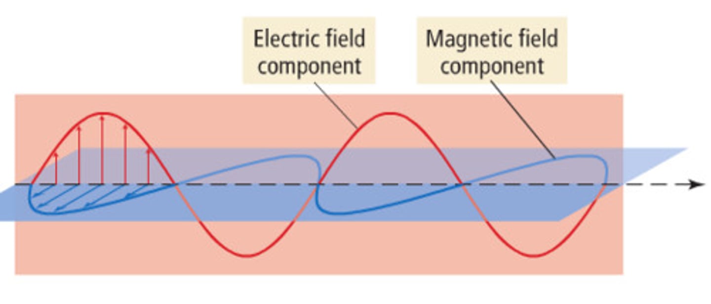 <p>a range of electromagnetic waves consisting of oscillating electric and magnetic fields travelling at the speed of light.</p>