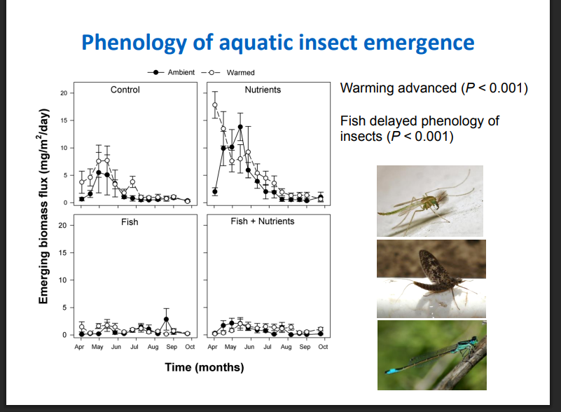 <p>Explain this graph</p>