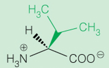 <p>3 Letter</p>