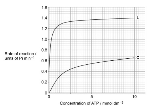 <p>Lyxose binds to the enzyme. </p><p>Suggest a reason for the difference in the results shown in the graph with (<strong>L</strong>) and without lyxose (<strong>C</strong>). (3 marks)</p>