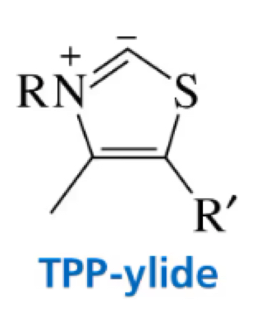 <p>take out H bond from top to react </p>